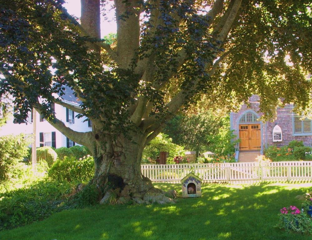 The 1720 House Bed and Breakfast Vineyard Haven Exteriör bild