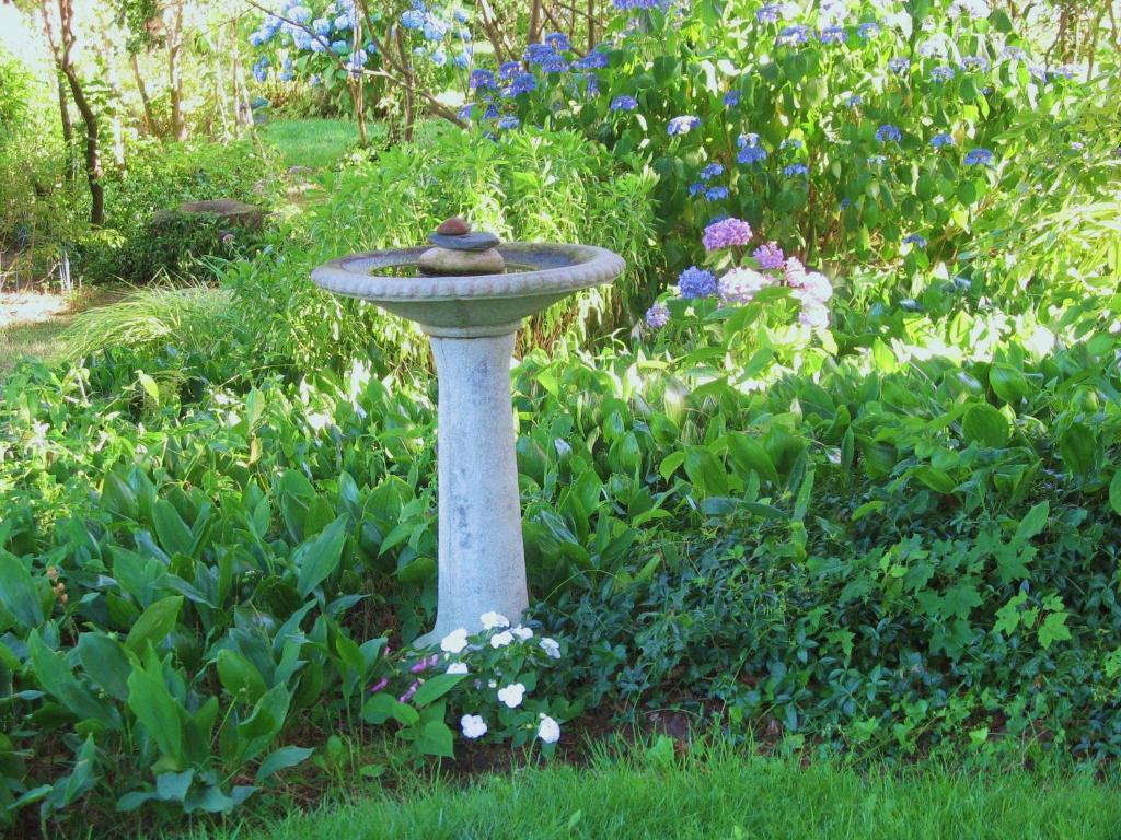 The 1720 House Bed and Breakfast Vineyard Haven Exteriör bild